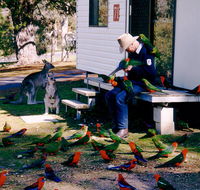 Inland Waters Holiday Parks Burrinjuck - Accommodation Main Beach