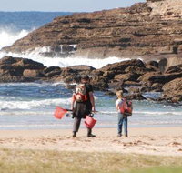 Merry Beach Caravan Resort - Accommodation Main Beach