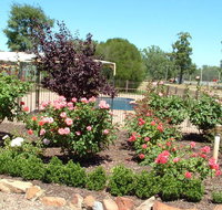 Newell Motor Inn - Accommodation Main Beach