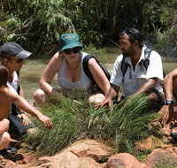 Nitmiluk Tours  Accommodation