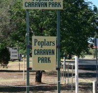 Poplars Caravan Park - Accommodation Main Beach