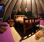 Aranyani Bison Adventure Tourist Park - Accommodation Main Beach