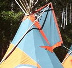 Central Coast Eco Tours