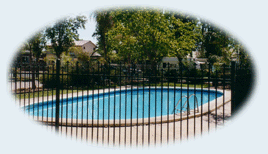 Sun City Caravan Park - Accommodation Main Beach 0