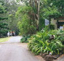 Tamborine Mountain Caravan  Camping - Accommodation Main Beach