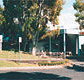 Tamwell Motel - Accommodation Main Beach
