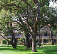 Trinity - Accommodation Main Beach