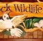 Wave Rock Hotel Motel - Accommodation Main Beach