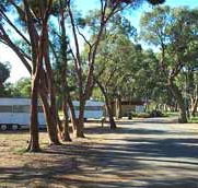 Wycheproof Caravan Park - Accommodation Main Beach