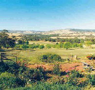 Pecan Hill Bed and Breakfast - Accommodation Main Beach