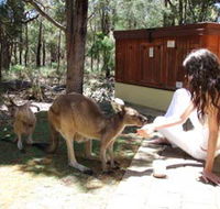 Yelverton Brook Eco Spa Retreat and Conservation Sanctuary - Accommodation Main Beach