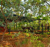 Arnhemland Barramundi Nature Lodge - Accommodation Main Beach