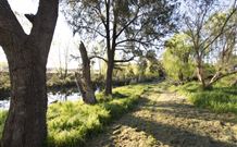 Fossickers Tourist Park - Accommodation Main Beach 5