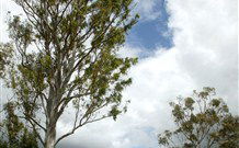 Glen Villa Resort And Tourist Park Casino - Accommodation Main Beach 0