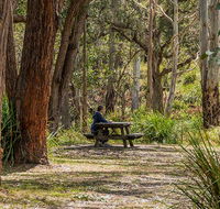 Koreelah Creek campground - Accommodation Main Beach