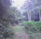 Macas Camping Ground