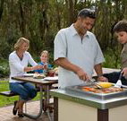Port Stephens Treescape - Accommodation Main Beach