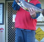 Rainbow Pines Tourist Caravan Park