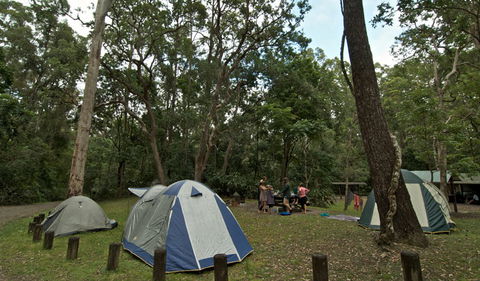 Sheepstation Creek Campground - Accommodation Main Beach 2