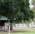 Warialda Caravan Park