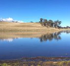 Bombala Maneroo Motel - Bombala - Accommodation Main Beach