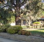 Hamilton Hume Motor Inn - Yass - Accommodation Main Beach