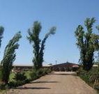 Newell Motor Inn - Narrandera - Accommodation Main Beach