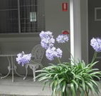 Pine Lodge Motel - Woolgoolga - Accommodation Main Beach