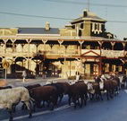 The Commercial Hotel Coonamble - Coonamble - Accommodation Main Beach