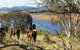 Reynella Homestead And Horseback Rides - thumb 3
