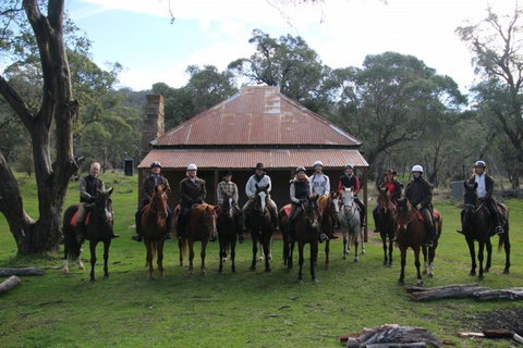Reynella Homestead And Horseback Rides - Accommodation Main Beach 4