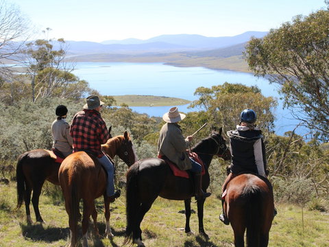 Reynella Homestead And Horseback Rides - Accommodation Main Beach 0
