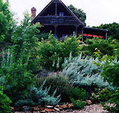 Country Charm Swiss Cottages - Accommodation Main Beach