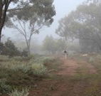 Heritage Park Bathurst - Accommodation Main Beach