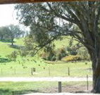 Hosanna Farm Retreat - Accommodation Main Beach