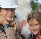 Mayfield Vineyard Cottages - Accommodation Main Beach