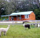 Moorallie Cottage Farm Stay - Accommodation Main Beach