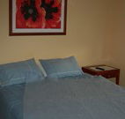 Busy Buzz - Accommodation Main Beach