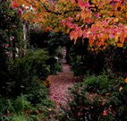 Gulgong B and B - Accommodation Main Beach