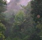 Havans Ecotourist Retreat -