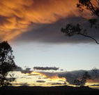 Silkwood B and B - Accommodation Main Beach