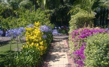 Wamberal Cottage - Accommodation Main Beach 7