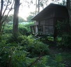 Mount Seaview Resort - Accommodation Main Beach