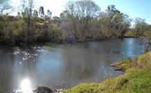 Amelies - Accommodation Main Beach 4