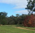 Mulberry Cottage - Accommodation Main Beach