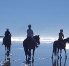 The Hayloft - Accommodation Main Beach