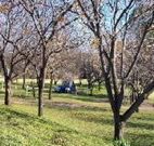 Worrowing Boat Shed - Accommodation Main Beach