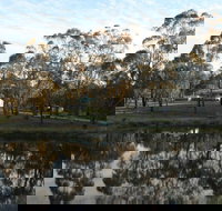 Greysen Farmstay - Accommodation Main Beach