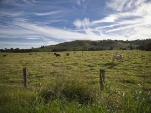 Annas Retreat - Accommodation Main Beach 0