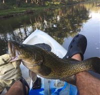 Dumaresq Homestead - Accommodation Main Beach